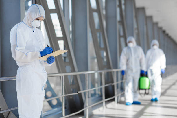 Best Mold Damage Restoration  in Wamac, IN