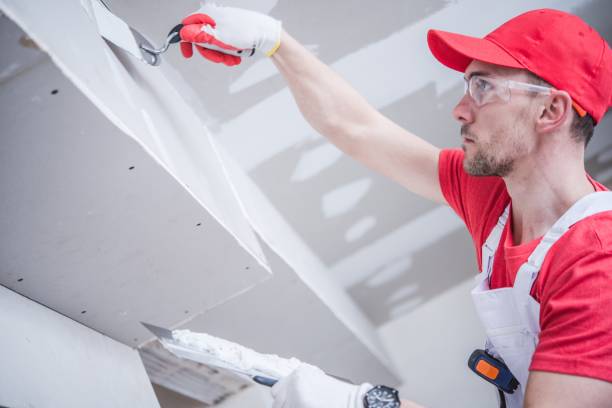 Best Post-Construction Mold Inspection  in Wamac, IN