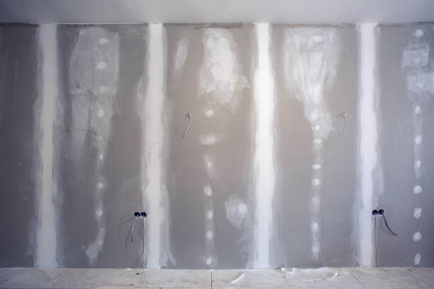 Winamac, IN Mold Removal Company